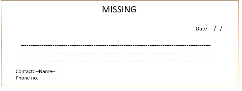 Missing person advertisement format