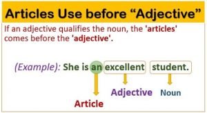 Article a an the uses