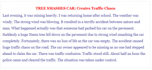 Short Paragraph writing on Tree Smashes Car