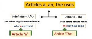 Articles a an the uses