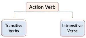 Action verb, transitive verb, intransitives verb, types of verb