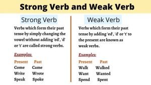Strong Verb and weak verb