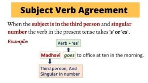 Subject verb Agreement Example