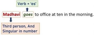 Subject verb agreement example 1