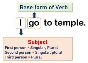 Subject verb agreement example 3