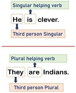 Subject verb agreement example 4