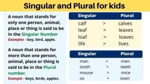 Singular and plural for kids