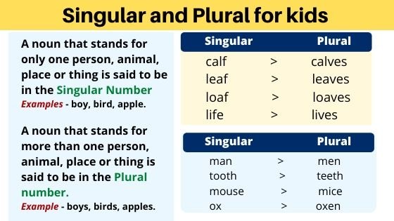 Singular and plural for kids