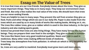 Importance of trees Essay