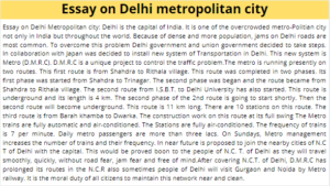 Essay on Delhi metropolitan city
