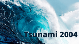 Short Essay on Tsunami 2004, 250-300 words