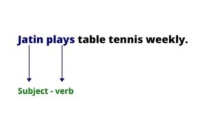 Subject Verb Agreement for class 8 eamples