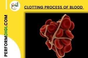 Clotting process of Blood