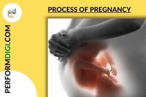 PROCESS OF PREGNANCY