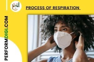 Process of Respiration