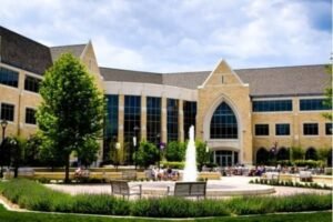 St. thomas university to learn English