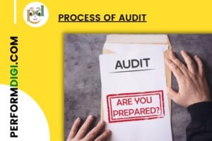 process of audit