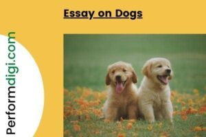 Essay on Dogs