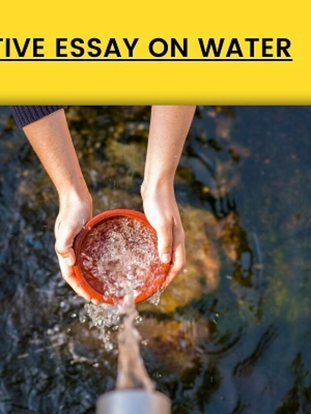 Importance of Water for The Human Body