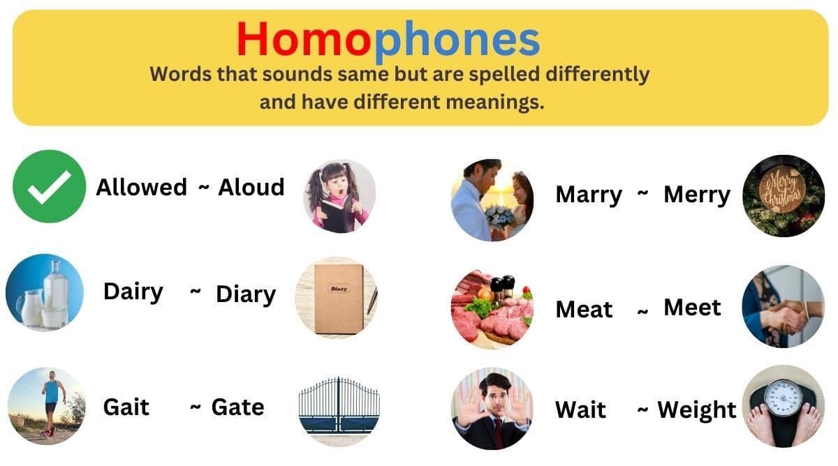 Homophones For Class 7 Definition Exercise Types Free Pdf