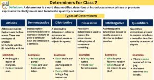 Determiners for Class 7