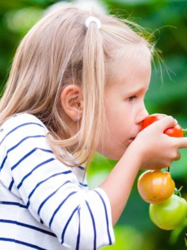 Tips and Tricks for a Successful Garden My Hobby