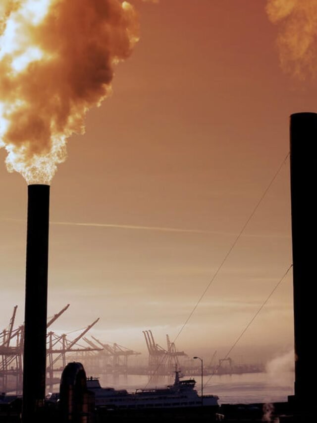 A Global Crisis: The Causes Pollution Essay in English