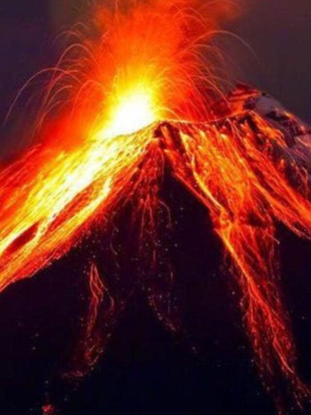 The Wrath of Nature: Natural Disasters