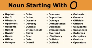 Nouns That Start With O