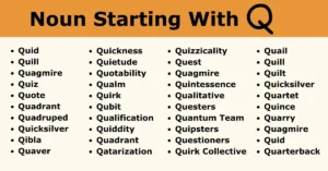 Nouns that start with q