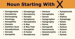 Nouns that start with x
