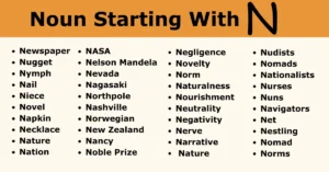 Nouns Start With N