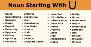 Nouns That Start With U