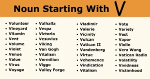 Nouns that start with v