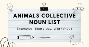 animals collective noun list