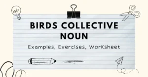 birds collective noun